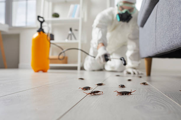 Trusted Termite Control service in Worthington, OH - Nex Pest Control